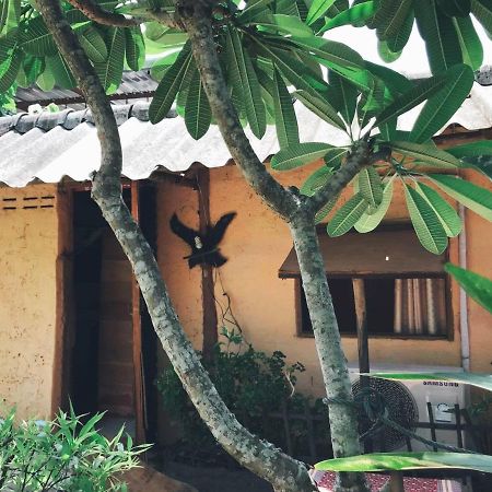 Tiddin Resort Chiang Mai Eksteriør bilde